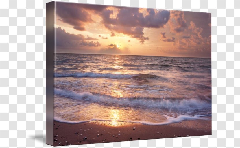 Corpus Christi Bay North Beach Art Sea - Sky Transparent PNG