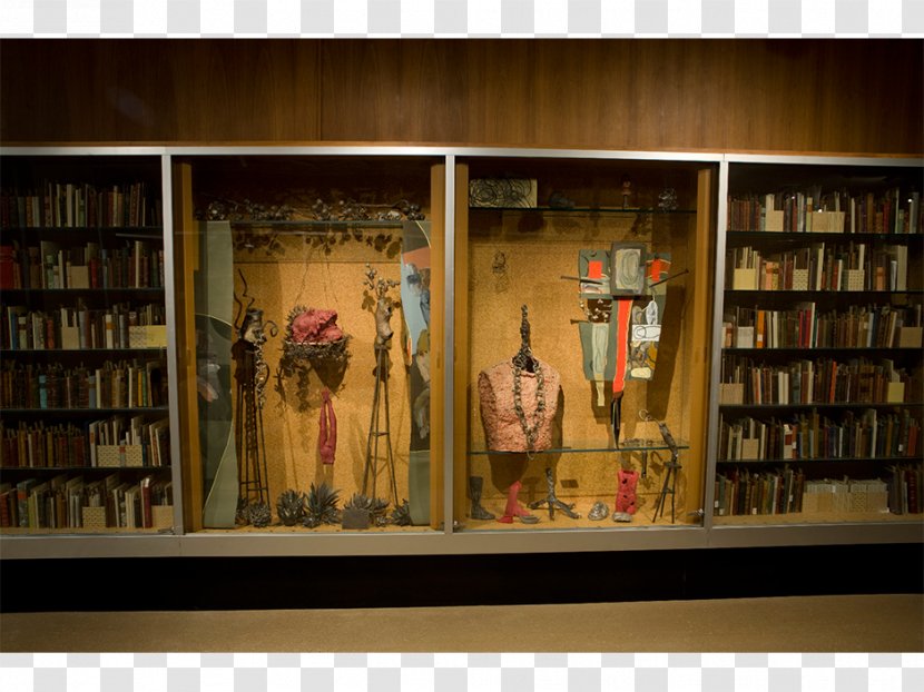 Bookcase Library Shelf Display Case YurView California - Sebastiano Del Piombo Transparent PNG