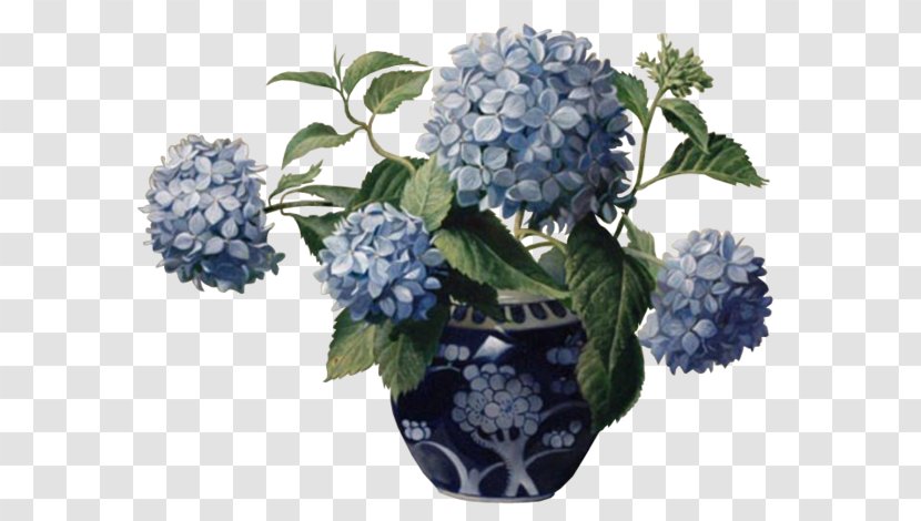 Still Life Hydrangea Floral Design Painting Painter - Flowering Plant Transparent PNG