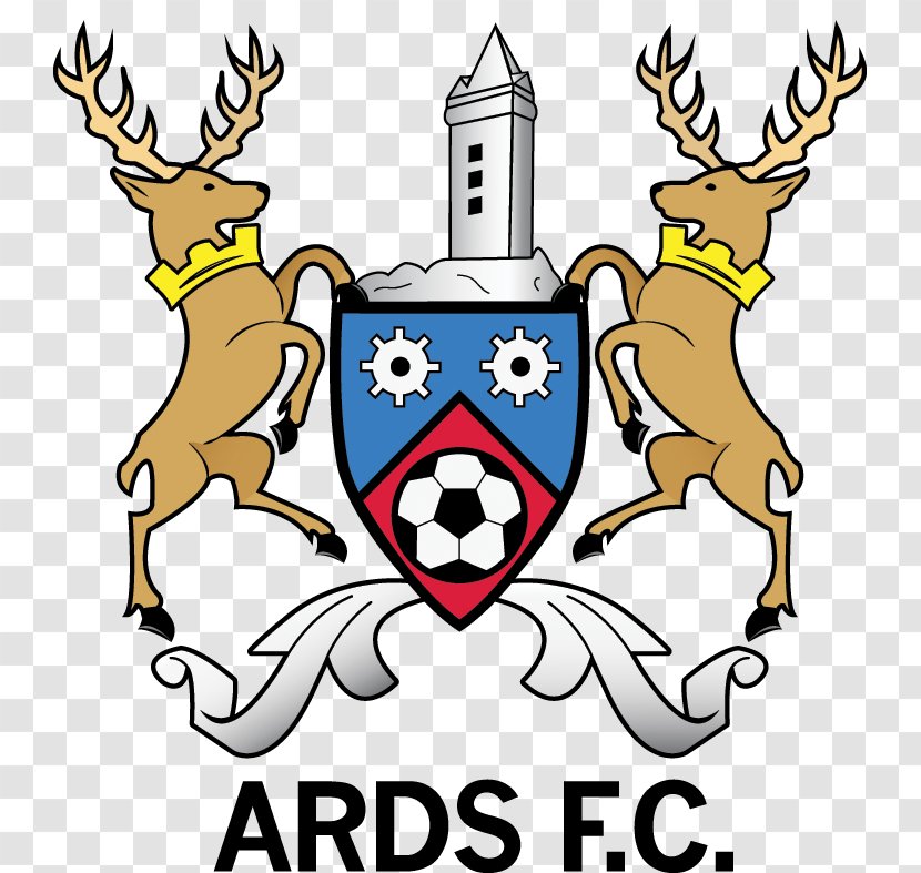 Ards F.C. Cliftonville NIFL Premiership Coleraine - Mammal - Football Transparent PNG