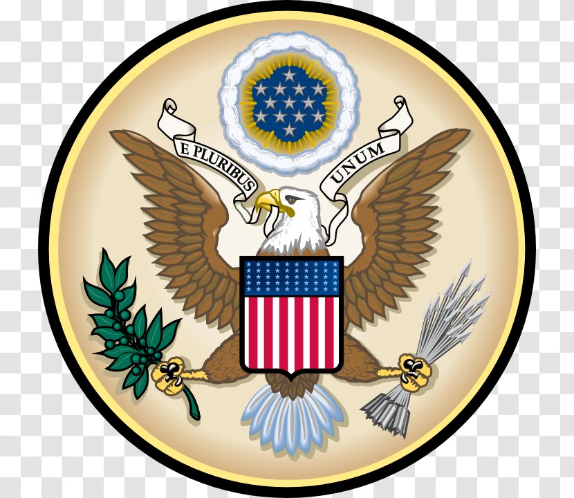 Bald Eagle United States Symbol Clip Art - Cartoon Transparent PNG