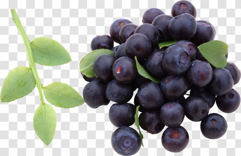 Blueberry's Cafe Smoothie Vaccinium Corymbosum Breakfast - Vitis - Blueberries Transparent PNG