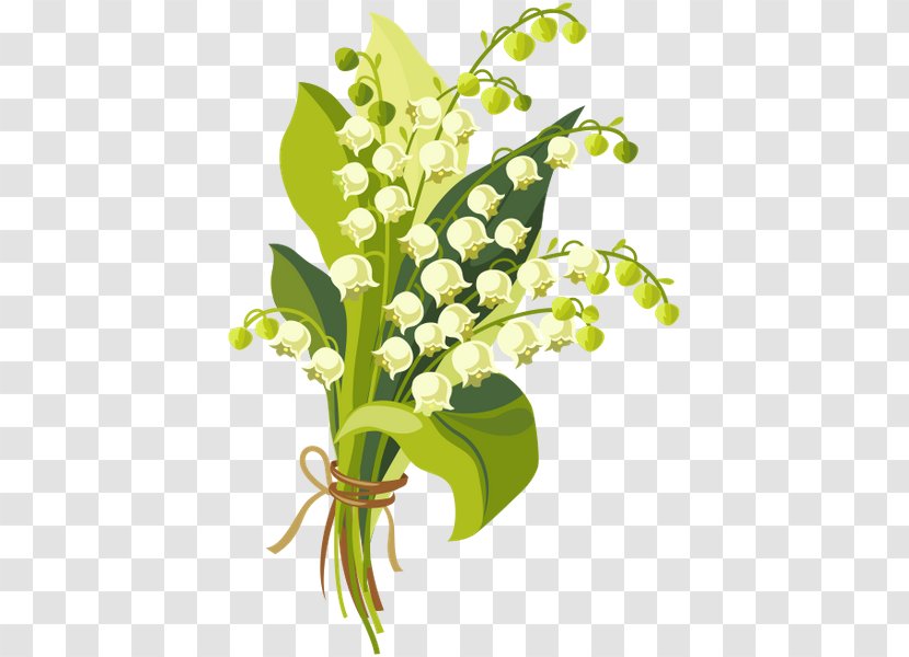 Royalty-free Drawing Lily Of The Valley - Flower Arranging Transparent PNG