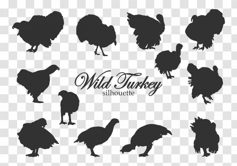 Black Turkey Silhouette Broad Breasted White - Bird Transparent PNG