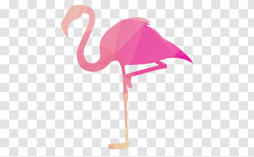 Pink Flamingo - Drawing - Vertebrate Transparent PNG