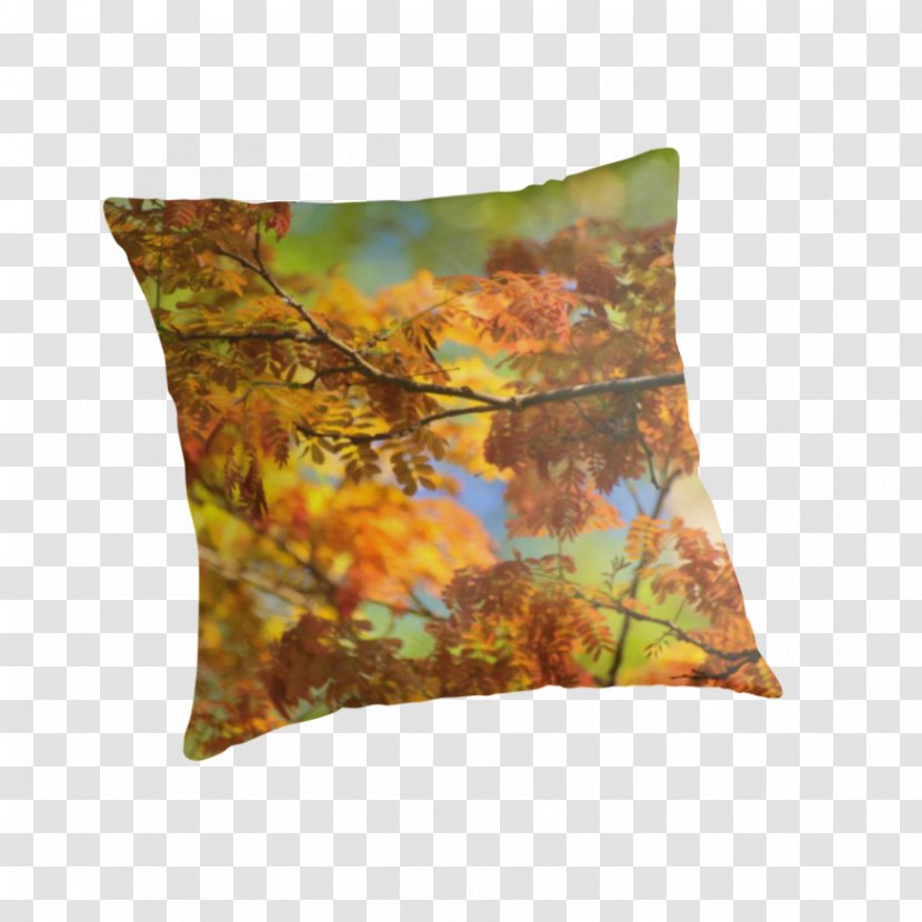Throw Pillows Cushion Brown - Pillow - Autumn Colours Transparent PNG