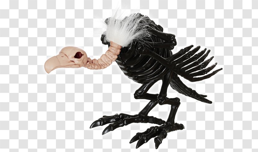 Turkey Vulture Skeleton Bone Skull - Black Transparent PNG