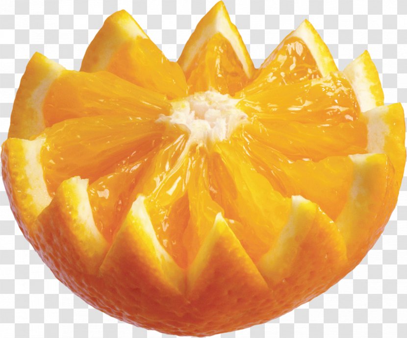 Citrus Xd7 Sinensis Orange Auglis Clip Art - Clementine Transparent PNG