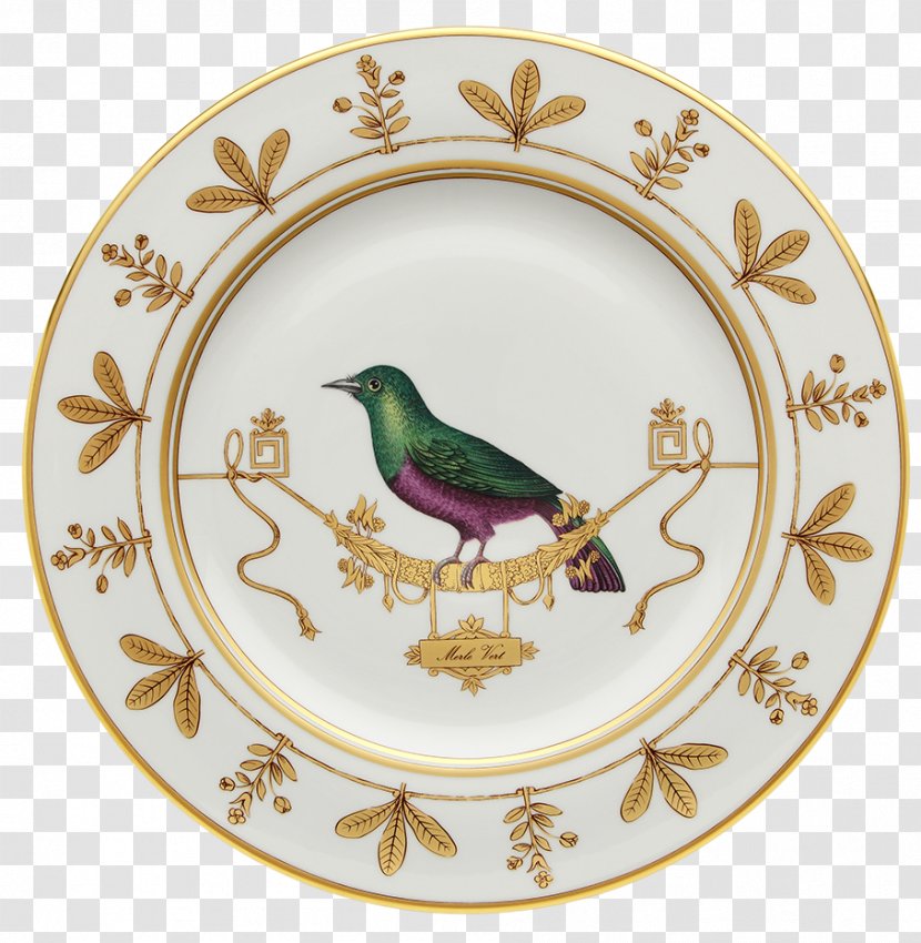 Doccia Porcelain Museo Richard-Ginori Della Manifattura Di Florence Plate - Fondina - Hand-painted Bird Transparent PNG
