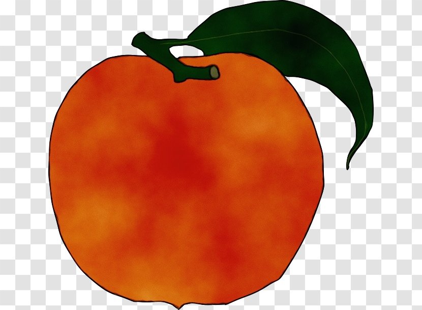 Leaf Watercolor - Peach - Ebony Trees And Persimmons Capsicum Transparent PNG