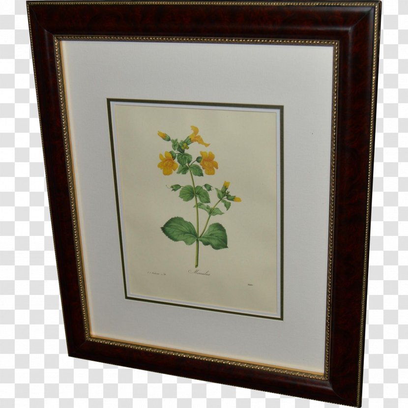 Erythranthe Moschata Painting Picture Frames Kunstdruck - Paint Transparent PNG