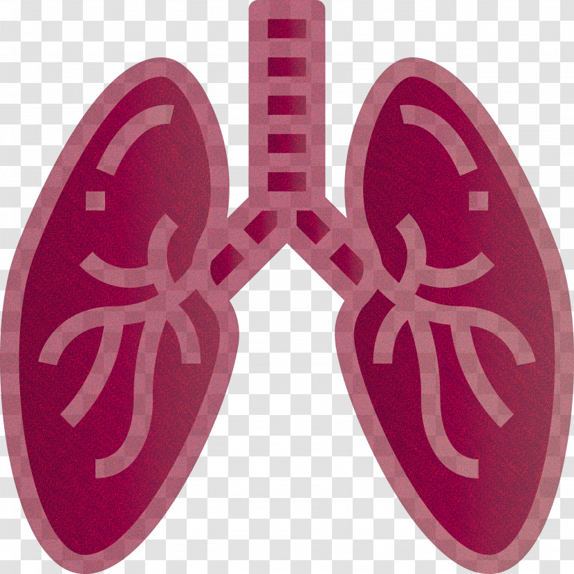 Lung Medical Healthcare Transparent PNG