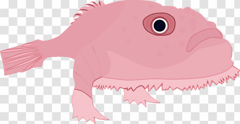 Cartoon Fish Science Biology Transparent PNG