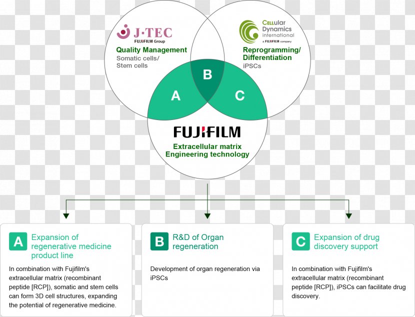 Regenerative Medicine Regeneration Fujifilm Cell Therapy - Fig Transparent PNG