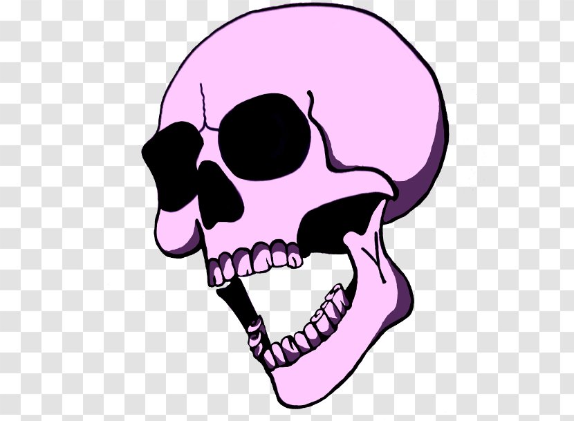 Skull Drawing - Bone - Mouth Nose Transparent PNG