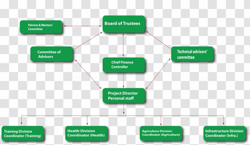 Brand Green Line - Organization Transparent PNG