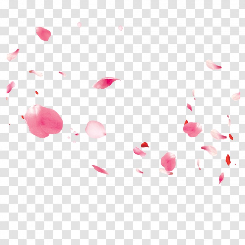 Pink Red Heart Petal Pattern - Magenta Transparent PNG