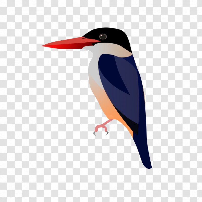Malay Wikipedia Indonesian Bird Burung Pekaka Kupiah Hitam - Kingfisher Transparent PNG