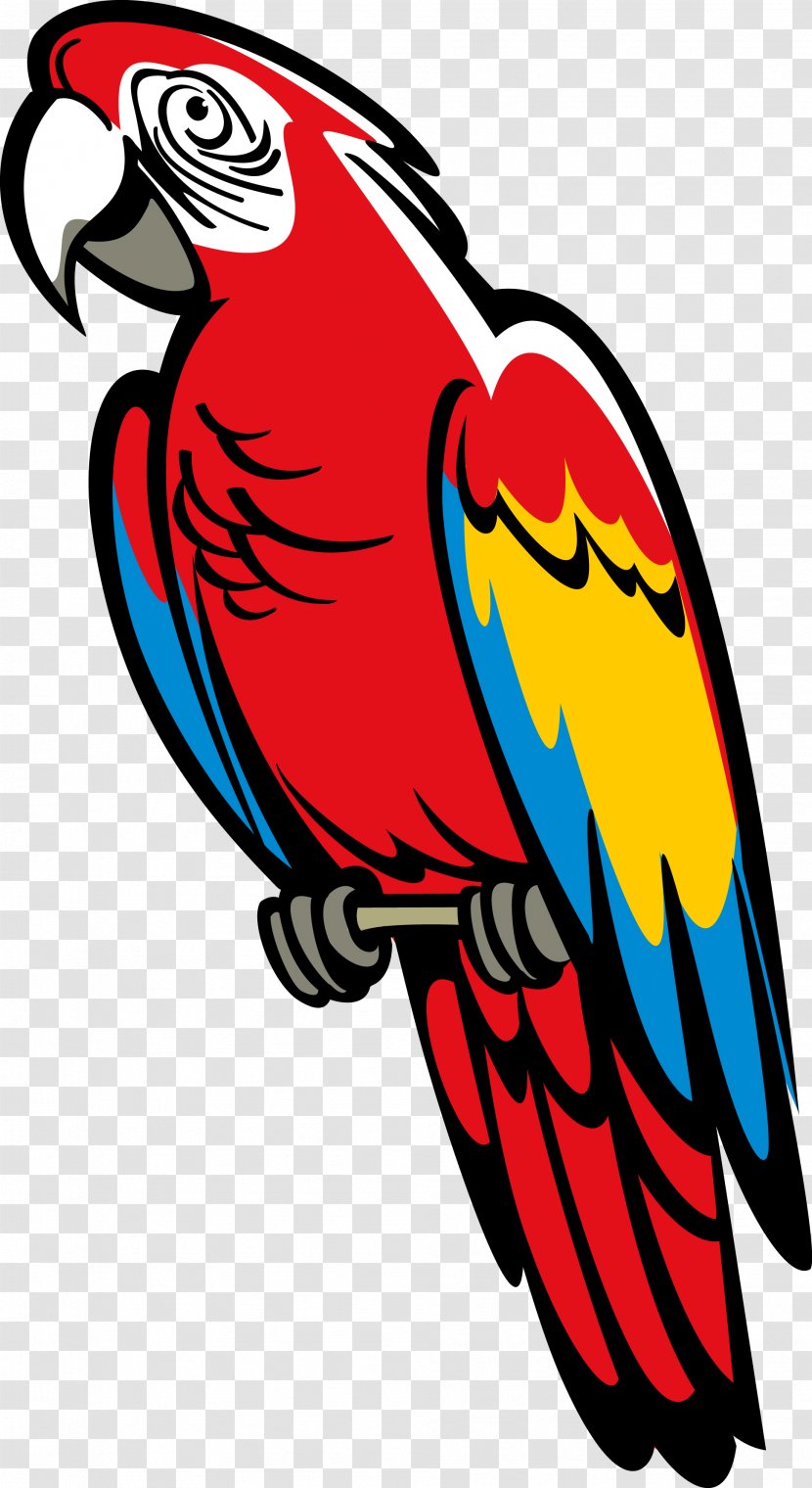 Parrot Heraldry Bird Coat Of Arms Macaw - Meaning Transparent PNG