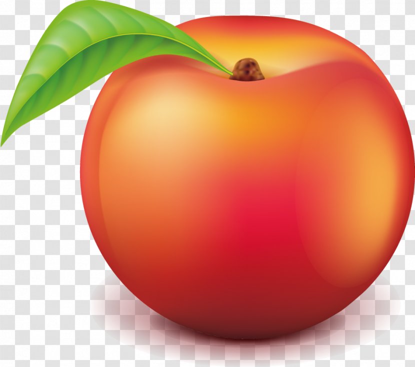 Peach Auglis - Mcintosh Transparent PNG