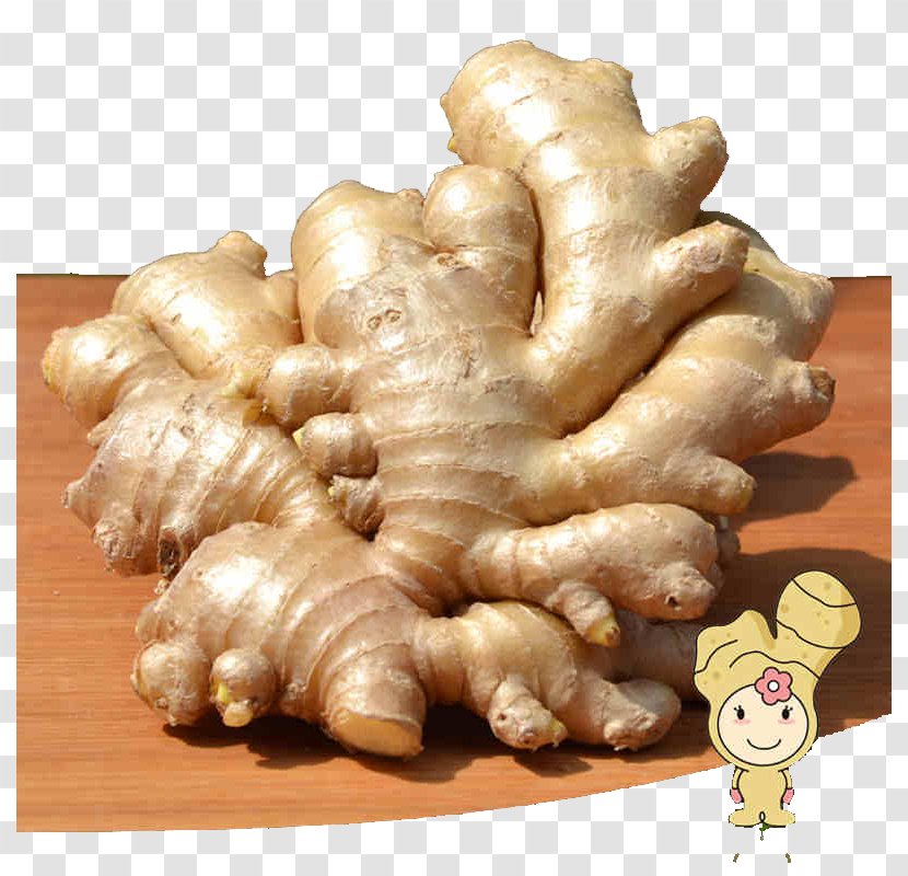 Juice Root Vegetables Ginger - Ingredient - On The Table Transparent PNG