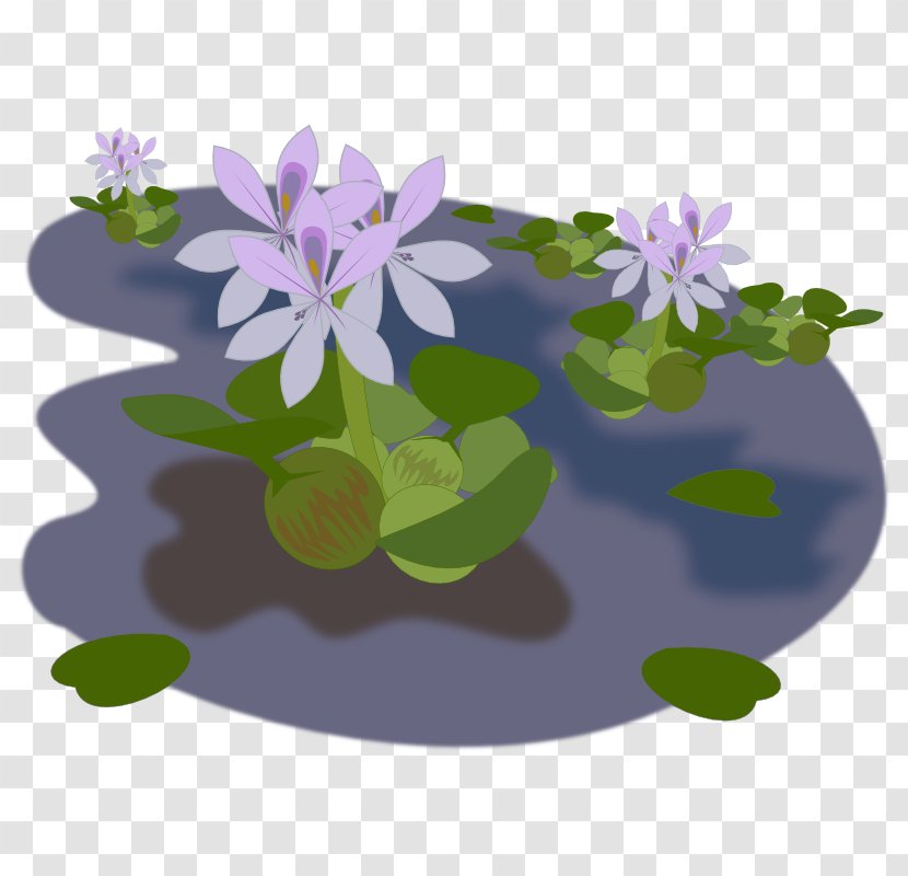 Pond Common Water Hyacinth Clip Art - Purple Transparent PNG