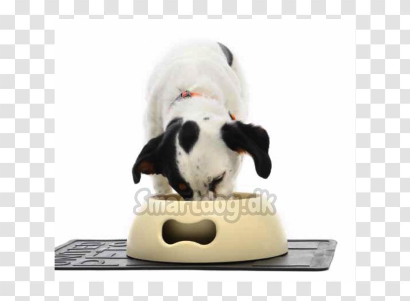 Dog Breed Puppy Snout Stuffed Animals & Cuddly Toys - Plush Transparent PNG