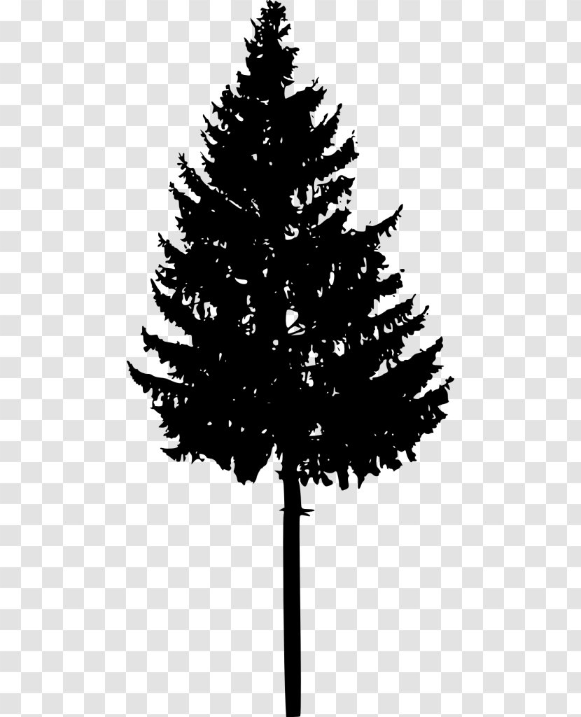 Spruce Fir Christmas Tree Silhouette - Blackandwhite Transparent PNG