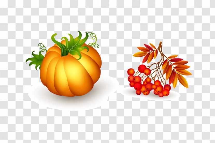 Thanksgiving Clip Art - Pumpkin Transparent PNG
