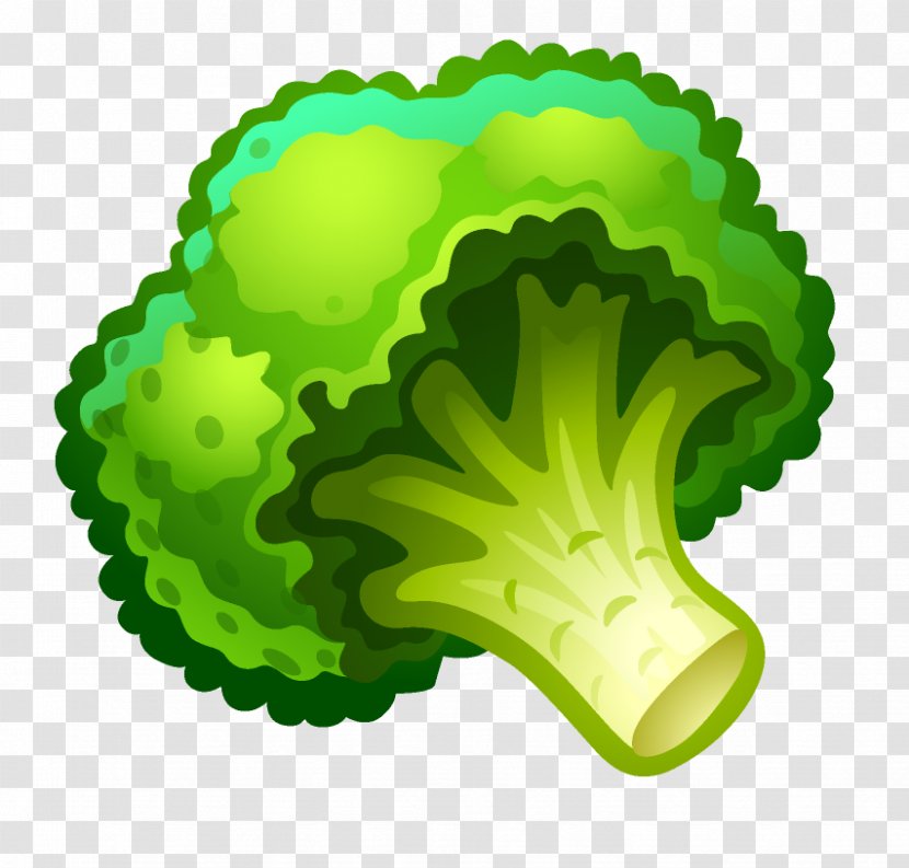 Parsley Vegetable Auglis - Cauliflower Transparent PNG