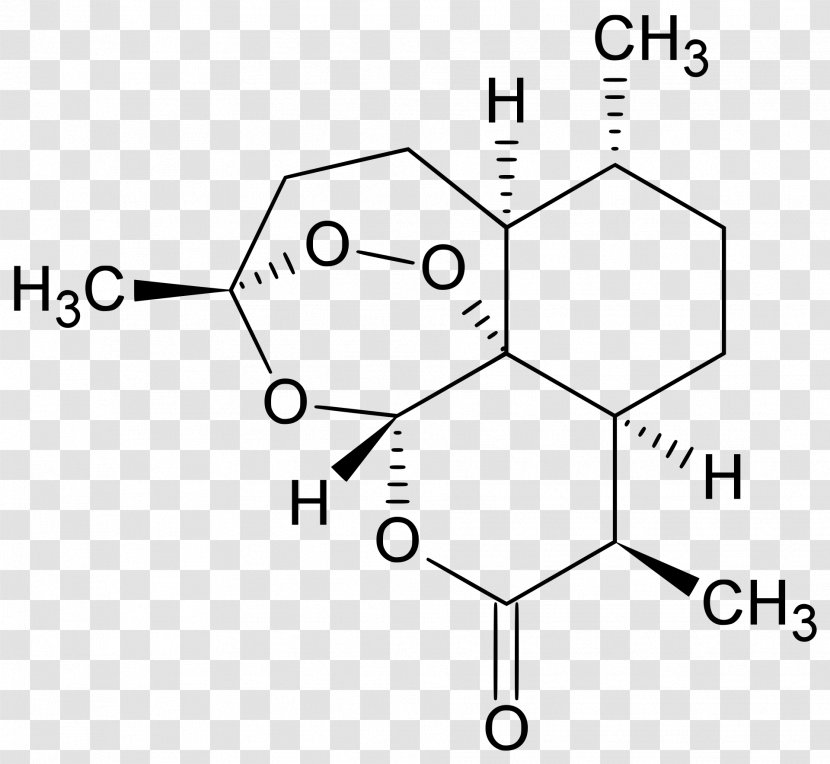 Sweet Wormwood Artemisinin Antimalarial Medication Pharmaceutical Drug - Tree - Ingredient Transparent PNG