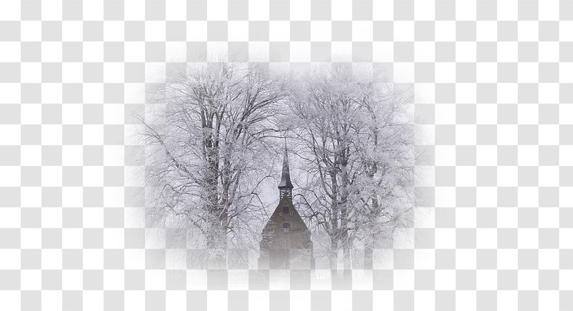 Blizzard Fog Frost Desktop Wallpaper Snow - Branch Transparent PNG