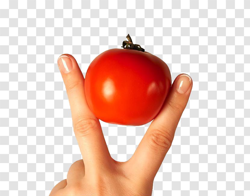 Gyxf3gyxedtxf3 Zxf6ldsxe9gek Health Vegetarianism Vegan Nutrition Diet - Tomato - Tomatoes Pictures Transparent PNG