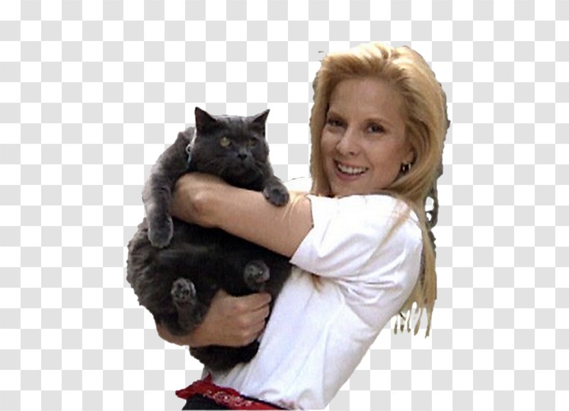 Sylvie Vartan Cat Loconville .net - Net Transparent PNG