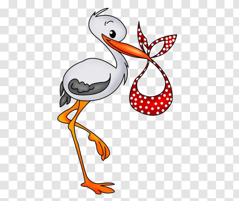 Drawing Clip Art - Ducks Geese And Swans - Infant Transparent PNG