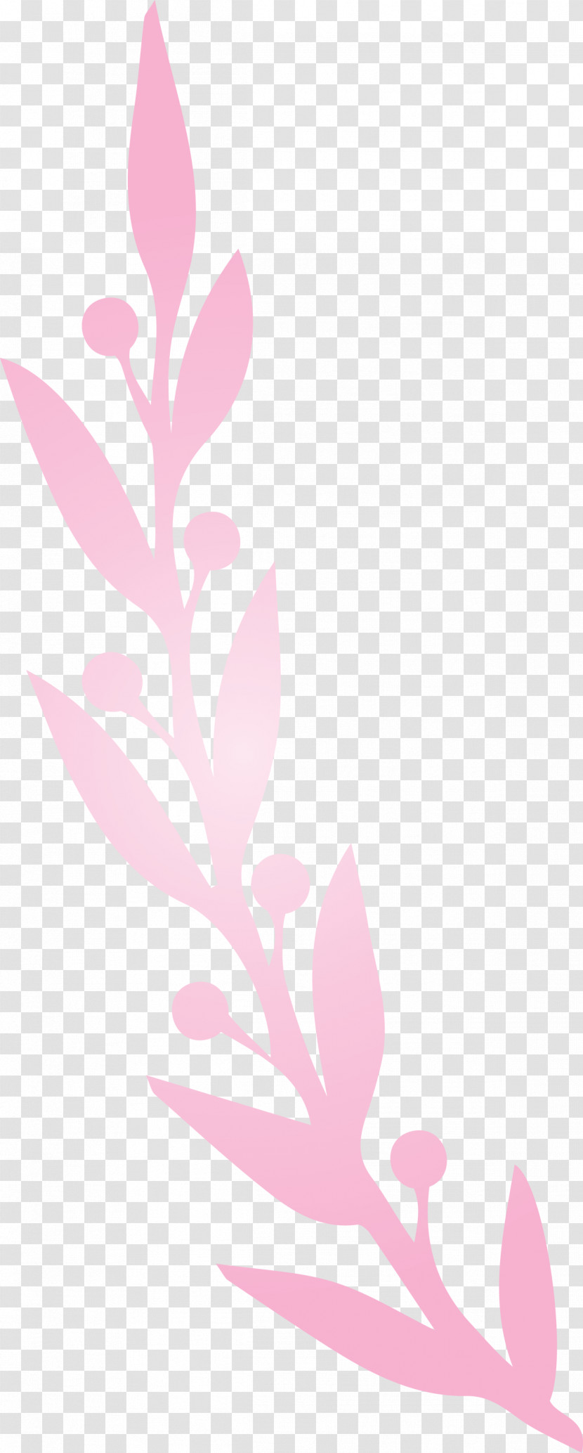 Plant Stem Petal Leaf Twig Pink M Transparent PNG