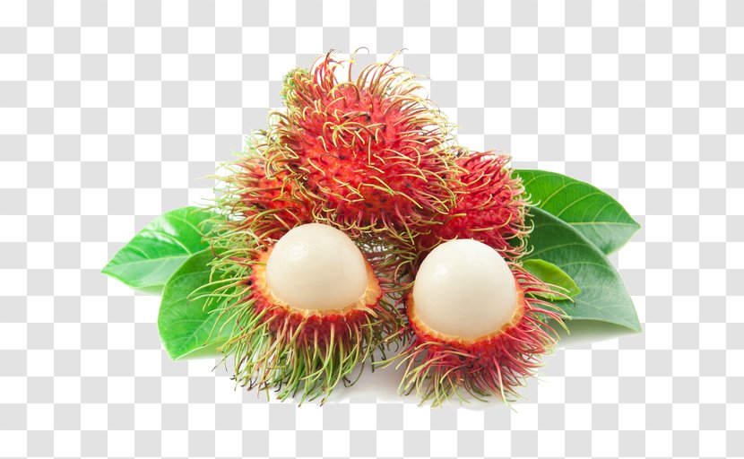 Rambutan Tropical Fruit Durian Orange - Soapberry Family Transparent PNG