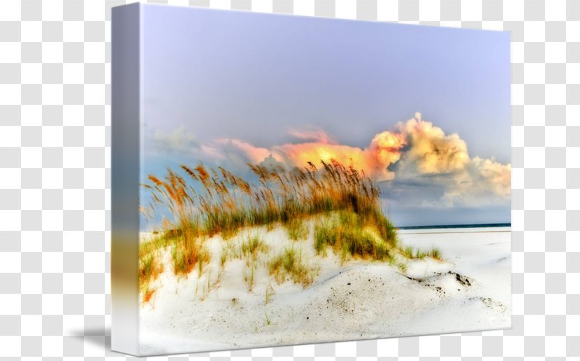 Eszra Gallery Wrap Picture Frames Art Canvas - Photography - Sea Transparent PNG
