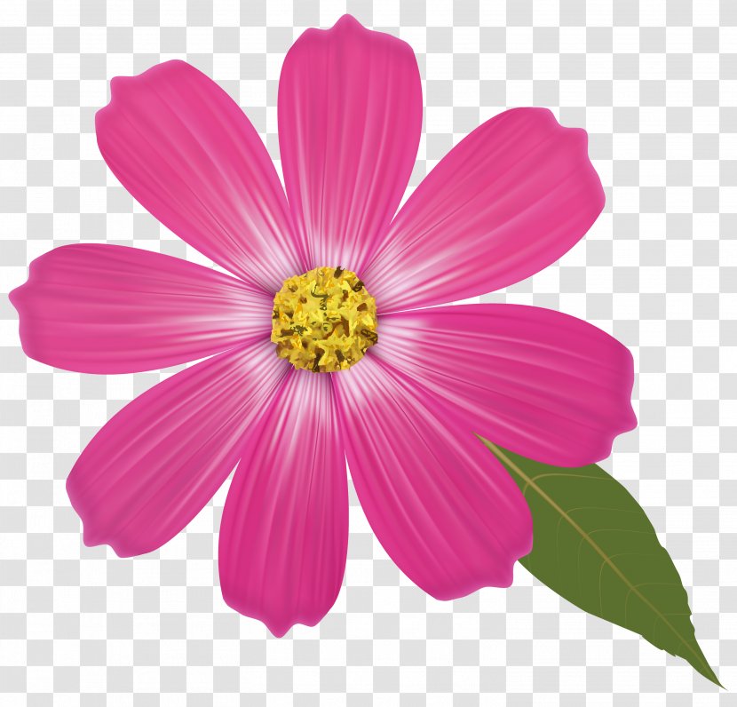 Pink Flowers Clip Art - Magenta Transparent PNG