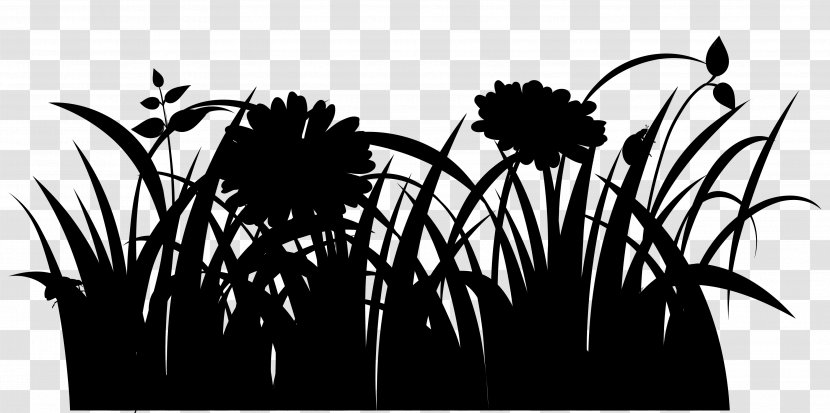 Palm Trees Desktop Wallpaper Plant Stem Flower Computer - Meadow - Nature Transparent PNG