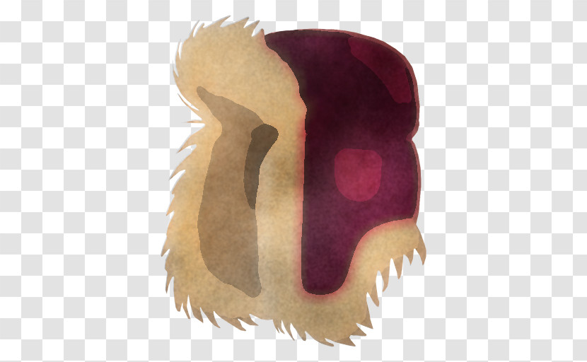 Face Head Nose Fur Headgear Transparent PNG