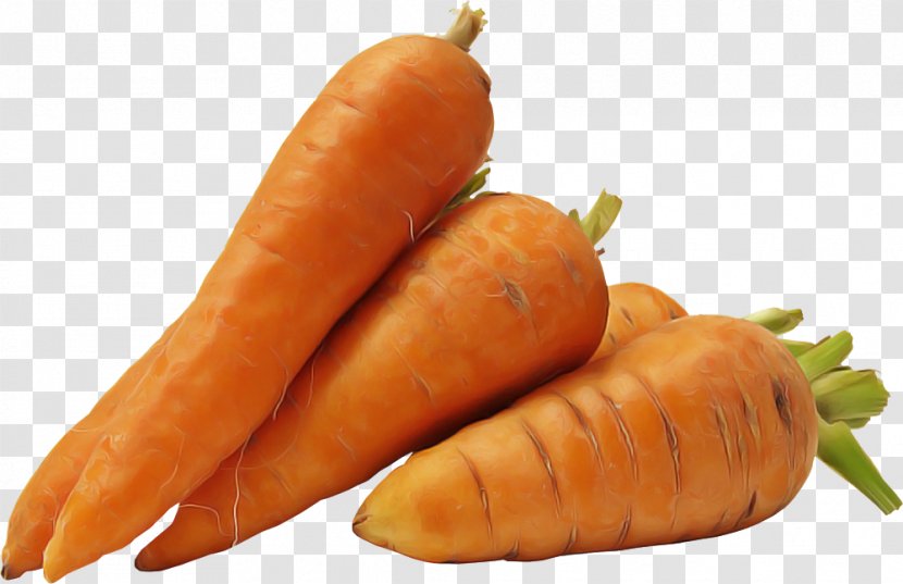 Carrot Food Root Vegetable Natural Foods - Baby Plant Transparent PNG