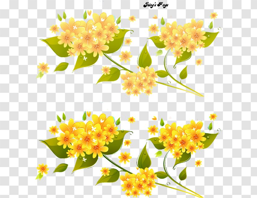 Flower Floral Design - Drawing - Creepers Transparent PNG