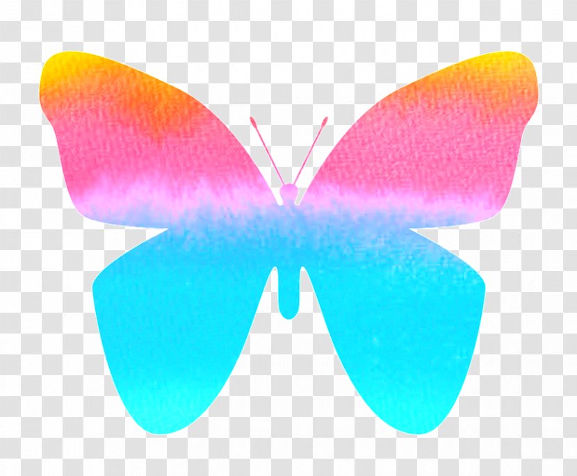 Beautiful Butterfly Insect Image Clip Art - Wing - Cao Transparent PNG