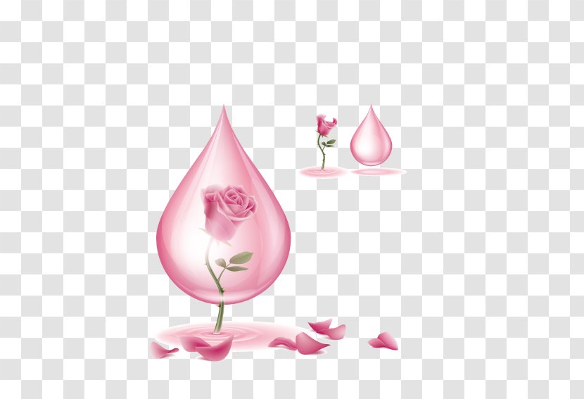 Download Flower Pink - Roses In Water Droplets Transparent PNG