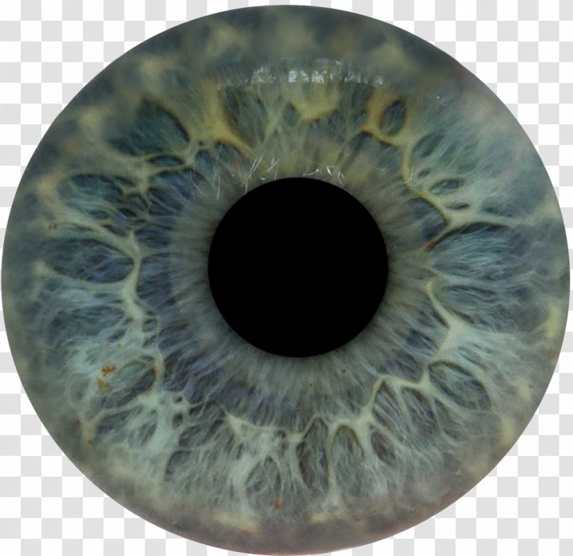 Look & See And Techno Disc Jockey Remix - Frame - Eye Transparent PNG