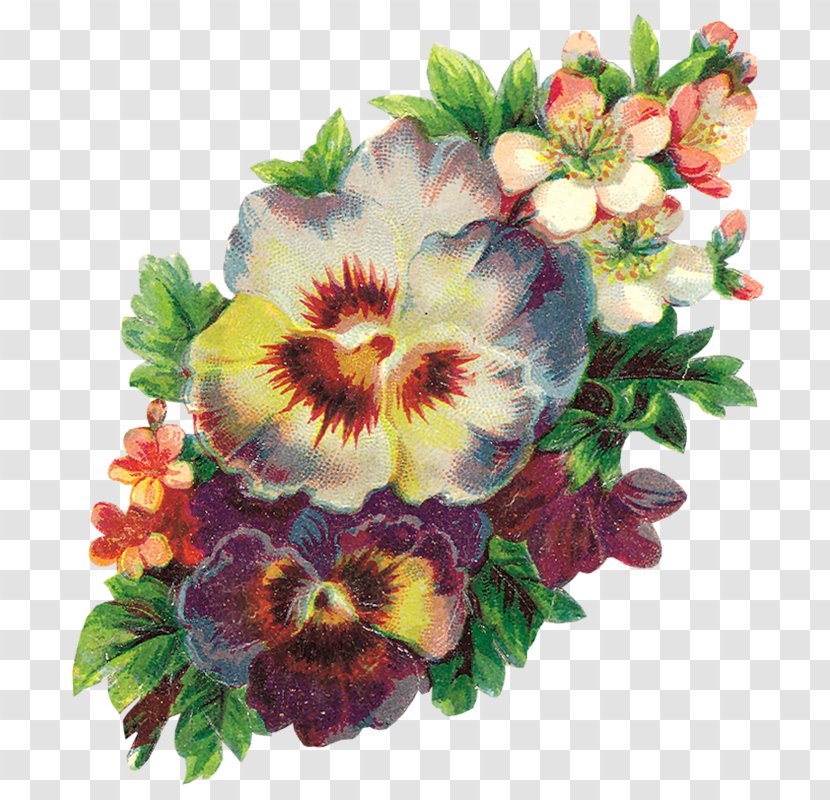 Pansy Photography Psd Flower - Mallow Family Transparent PNG