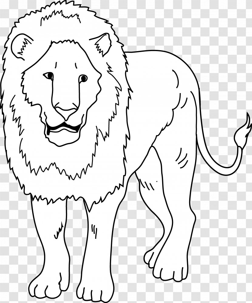 White Lion Black And Clip Art - Big Cats - Drawing Transparent PNG