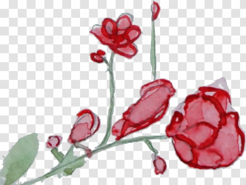 Garden Roses Cut Flowers Floral Design Watercolor Painting - Flower Transparent PNG