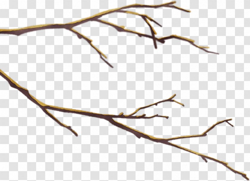 Tree Watercolor - Twig - Plant Transparent PNG